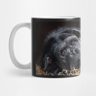 Portrait of a Chimpanzee Mug